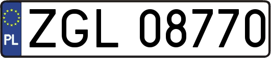 ZGL08770