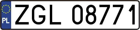 ZGL08771