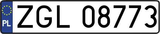 ZGL08773