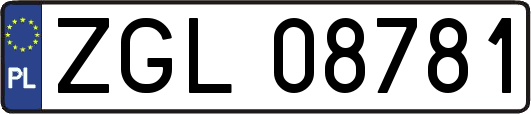 ZGL08781