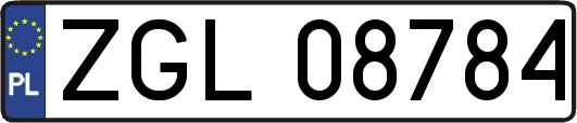 ZGL08784