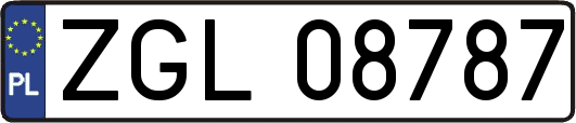 ZGL08787