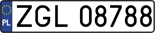 ZGL08788