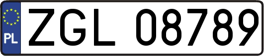 ZGL08789