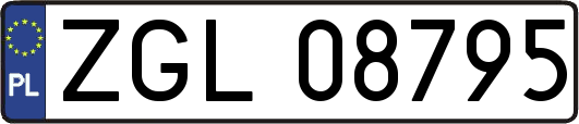 ZGL08795