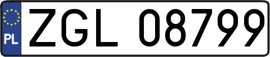 ZGL08799