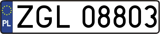 ZGL08803