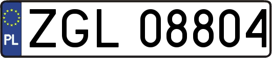 ZGL08804
