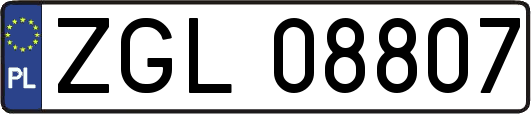ZGL08807
