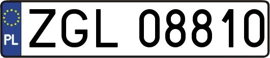 ZGL08810