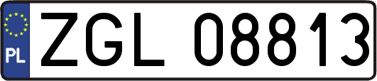 ZGL08813