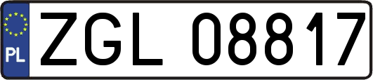 ZGL08817