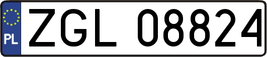ZGL08824