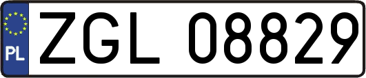 ZGL08829