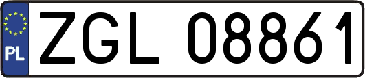 ZGL08861