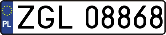 ZGL08868