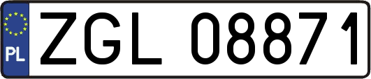 ZGL08871