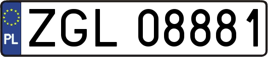ZGL08881