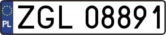 ZGL08891