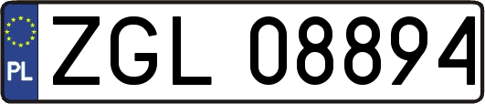 ZGL08894