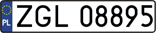 ZGL08895