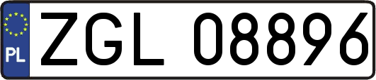 ZGL08896