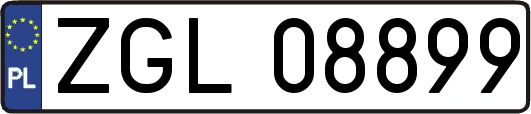 ZGL08899