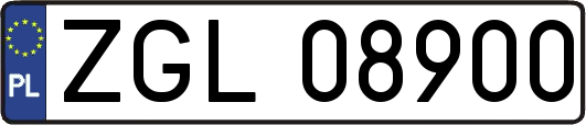 ZGL08900
