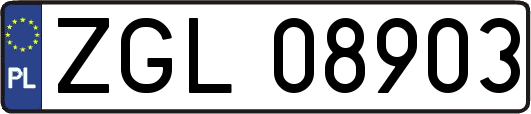 ZGL08903