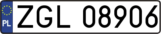 ZGL08906