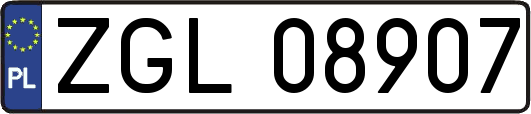 ZGL08907