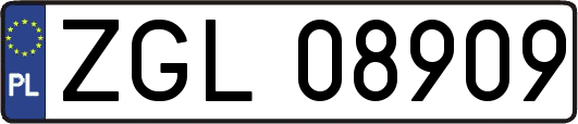 ZGL08909
