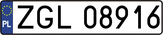 ZGL08916