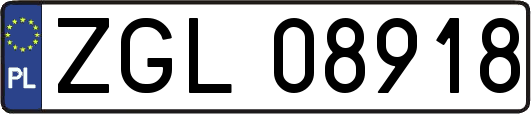 ZGL08918