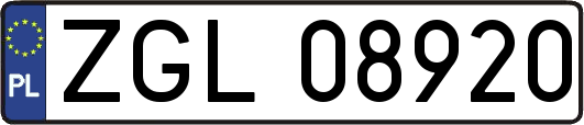 ZGL08920