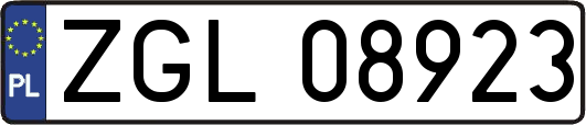 ZGL08923