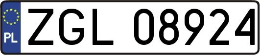 ZGL08924