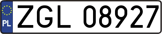 ZGL08927