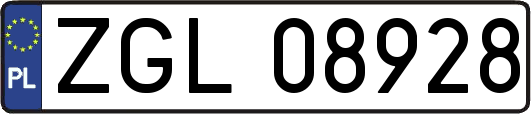 ZGL08928