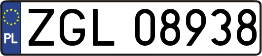ZGL08938