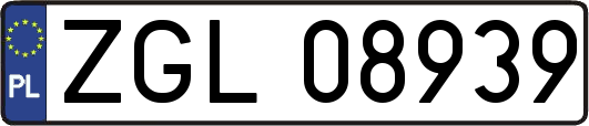 ZGL08939