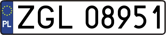 ZGL08951