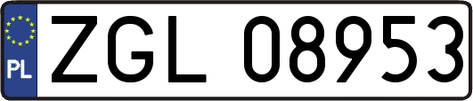 ZGL08953
