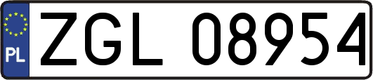 ZGL08954