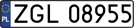 ZGL08955