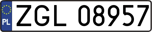 ZGL08957