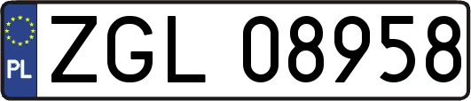 ZGL08958