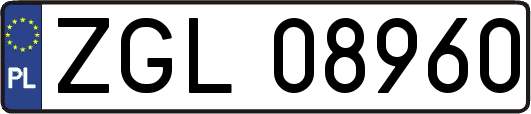 ZGL08960