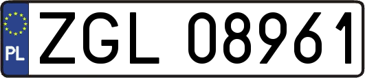 ZGL08961