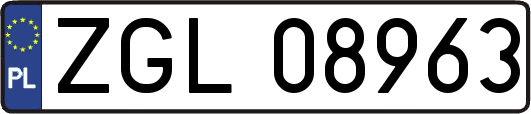 ZGL08963